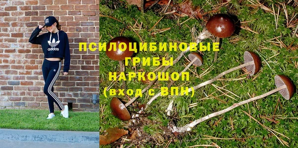 кристаллы Арсеньев