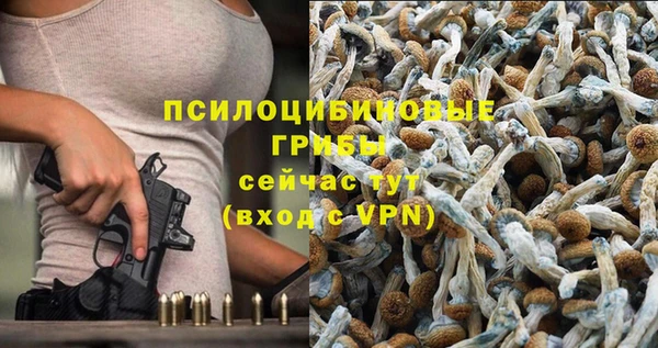 ешки Армянск