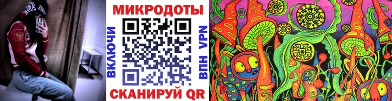 Галлюциногенные грибы Psilocybe  цены наркотик  Пошехонье 