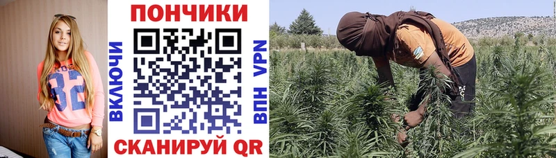 Бошки Шишки SATIVA & INDICA  Пошехонье 